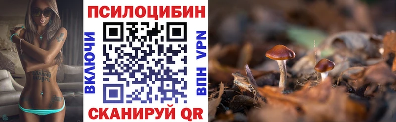Псилоцибиновые грибы Cubensis Купить где Петровск-Забайкальский
