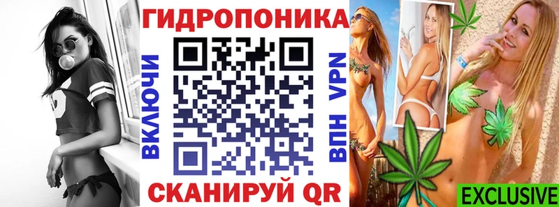 Канабис индика  Купить закладки  Петровск-Забайкальский 
